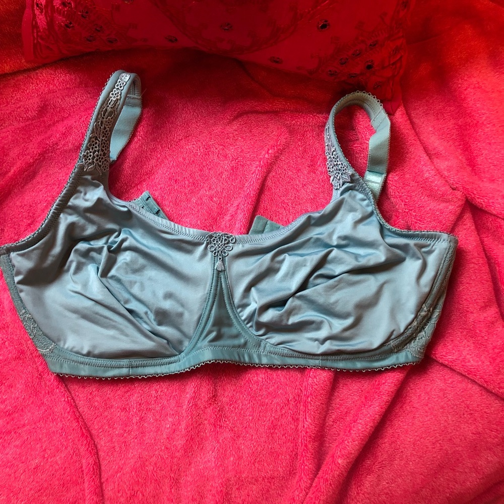 Nice underwire bra